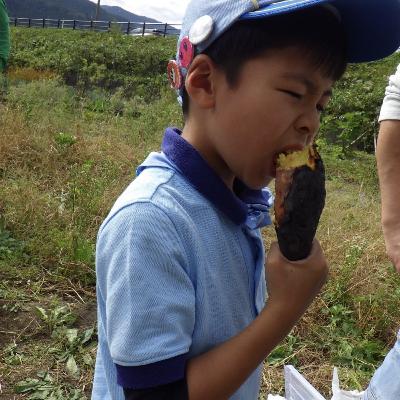 げんきに収穫(2024/10/27)