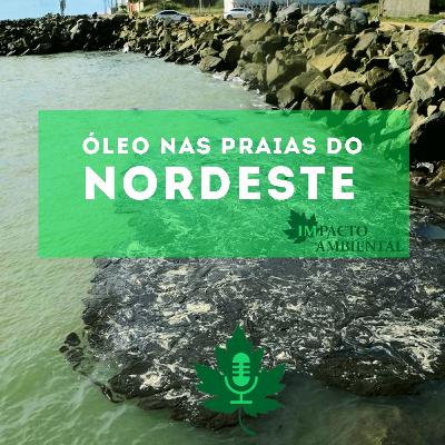Ambientalidades 006 - O óleo nas praias do Nordeste