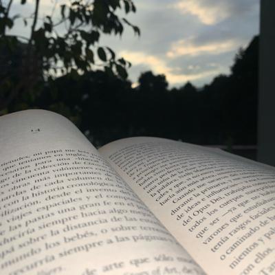 Sinopsis Libro “La peste” de Albert Camus