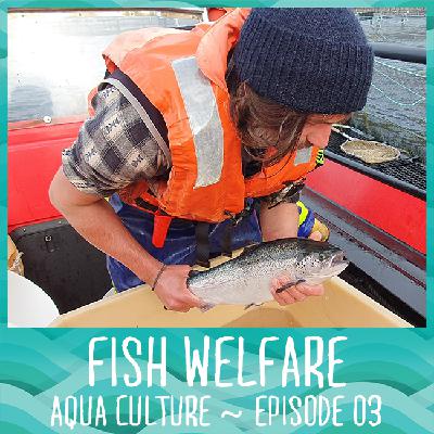 03 Fish Welfare - Theory and Practice