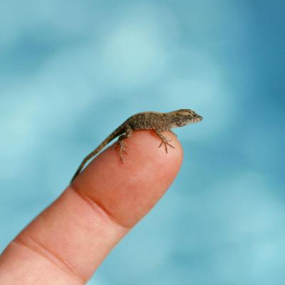 Ep. 45: From Door Slams to Hammers — Understanding Fingertip Injuries⁠