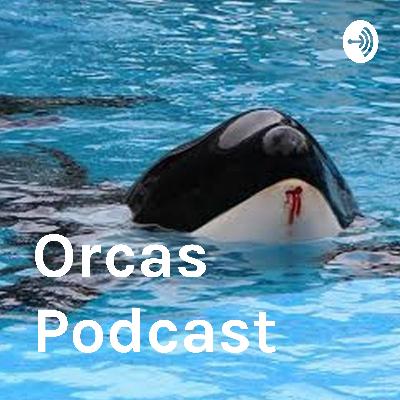Orca Podcast