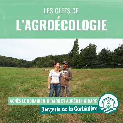 Comment l'élevage s'adapte et amène de nouvelles réponses pour l'avenir ? Comment l'élevage s'adapte et amène de nouvelles réponses pour l'avenir ?