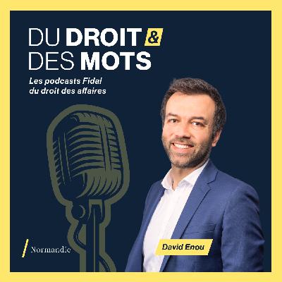 Déchiffrez la TVA : Tout ce que vous devez savoir !