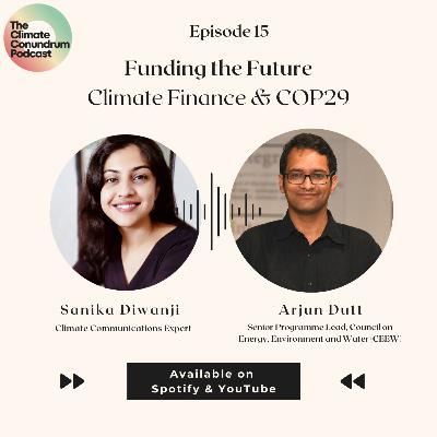 Funding the Future : Climate Finance & COP29