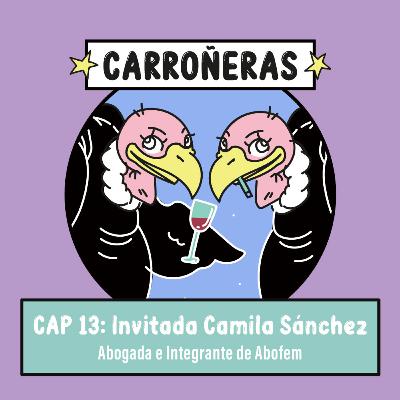 E.13. Entrevista a Camila Sánchez, abogada integrante Abofem E.13. Entrevista a Camila Sánchez, abogada integrante Abofem