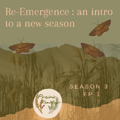 Re-emergence : Season 3 Preview