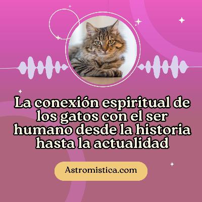 La conexión espiritual de los gatos con el ser humano desde la historia hasta la actualidad.