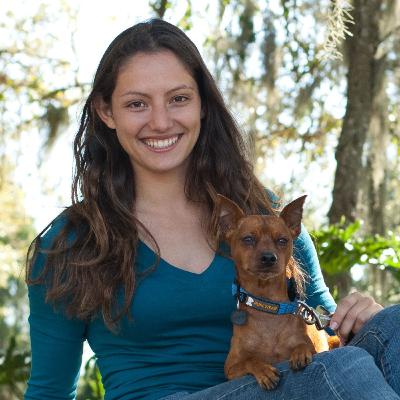 Swift Paws Home Lure Course with Creator Meghan Wolfgram