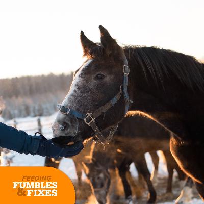 Ep. 106: 5 Ways Horse Owners Waste Money on Feeding Ep. 106: 5 Ways Horse Owners Waste Money on Feeding