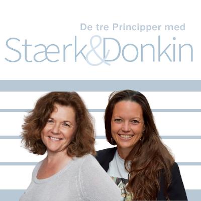 90. De Tre Principper - Lider du af analyse paralyse?