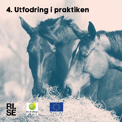 Utfodring i praktiken Utfodring i praktiken