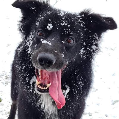 Ep.9 ทำแบบไหนให้ลูกได้เรียนรู้2ภาษาหรือมากกว่านั้น