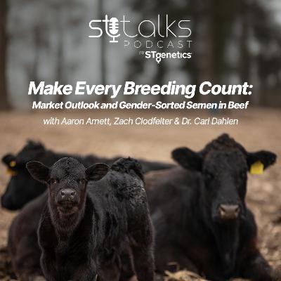 STtalks #369 - Make Every Breeding Count: Market Outlook and Gender-Sorted Semen in Beef with Aaron Arnett, Zach Clodfelter & Dr. Carl Dahlen