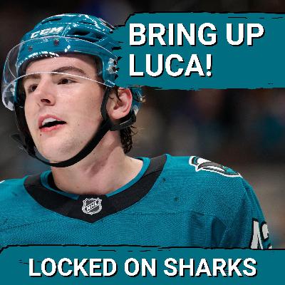 Why the San Jose Sharks Must PROMOTE Luca Cagnoni Now and Move on From John Klingberg Why the San Jose Sharks Must PROMOTE Luca Cagnoni Now and Move on From John Klingberg