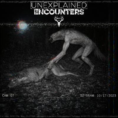 577 | The Ozark Mountains Have Rules - Obey Them or DIE