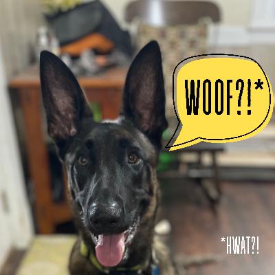 50: Finlay is Grounded 50: Finlay is Grounded