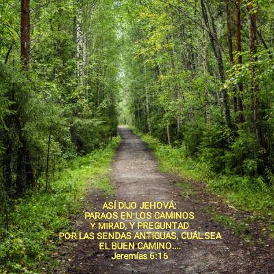 ABRAHAM PROFETA DE DIOS