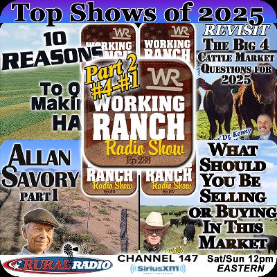 Ep 238: Top Shows of 2025 Part 2: Highlights from #4–#1