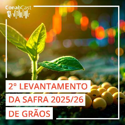 Conab atualiza estimativa da safra de grãos 2025/26 para 354,8 milhões de toneladas
