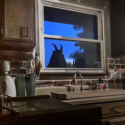 10 Videos de Terror Real en los MONTES APALACHES | PARTE 3 FT. ⁨@NicoLuengos⁩