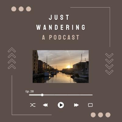 CPH diaries: (expat) loneliness | Ep. 28
