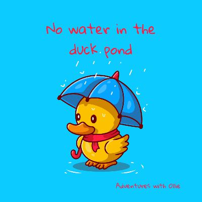 No water in the duck pond No water in the duck pond