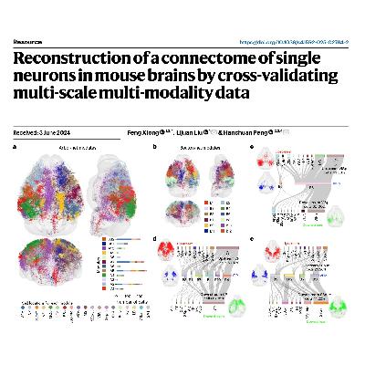 320-Validated Single-Neuron Connectome of the Mouse Brain 320-Validated Single-Neuron Connectome of the Mouse Brain