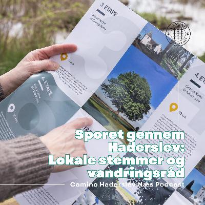 Sporet gennem Haderslev: Lokale stemmer og vandringsråd