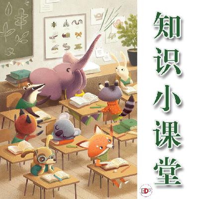 知识小课堂EP119（珐琅器物）