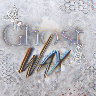 Book Recommendation: Ghost Wax