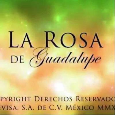 La rosa de Guadalupe