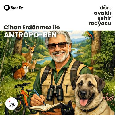 Antropo-Ben | Cihan Erdönmez | Gece Yarısına Birkaç Saniye