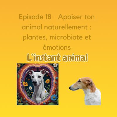 #18 Apaiser ton animal naturellement : plantes, microbiote et émotions
