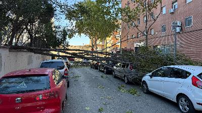 Ventades de fins a 130 km/h provoquen més de mil incidències i 26 ferits a Catalunya