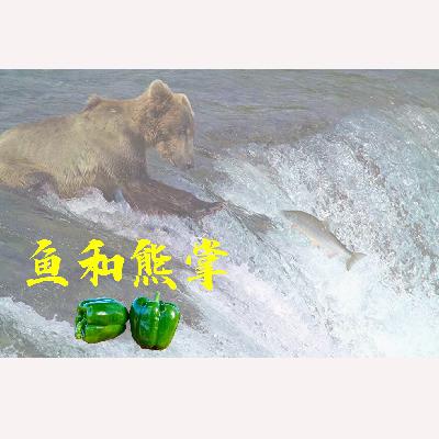 【做事侠01】高校“青椒”的教学与科研：鱼和熊掌不可得兼？