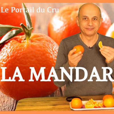 LA MANDARINE GOURMANDE : UN VOYAGE EXPRESS EN 153 SECONDES ! [2024]