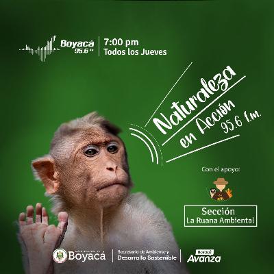 T3 -Ep 2 - Hablemos sobre Líderes Ambientales y Guardabosques en el departamento de Boyacá