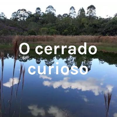 Fatos sobre a flora do Cerrado