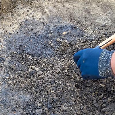 059 Willst Du abkratzen?