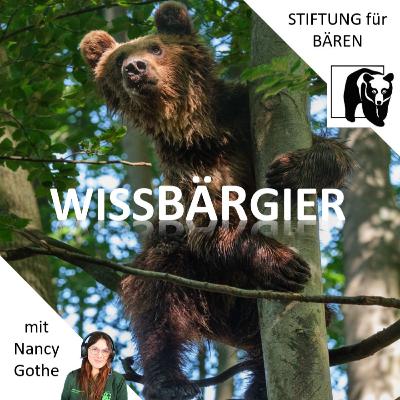 1. Zwischenspiel - erstes Erwachen im Alternativen Bärenpark Worbis 1. Zwischenspiel - erstes Erwachen im Alternativen Bärenpark Worbis