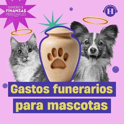 Gastos funerarios para mascotas: Destina un presupuesto para lo inevitable