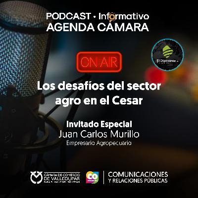 PODCAST • Informativo Agenda Cámara | Los desafíos del sector agro en el Cesar