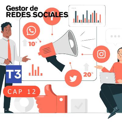 t3 cap 12. Gestor de Redes Sociales #puisss