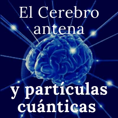 El Cerebro antena y partículas cuánticas El Cerebro antena y partículas cuánticas