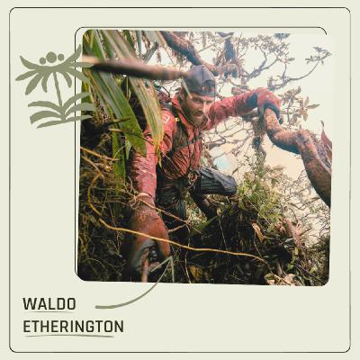 Waldo Etherington - February, 2026
