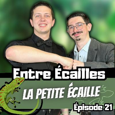 J'ACCUEILLE UN ÉLEVEUR AMATEUR ! (Avec La Petite Écaille) [Entre Écailles - Ep 21]