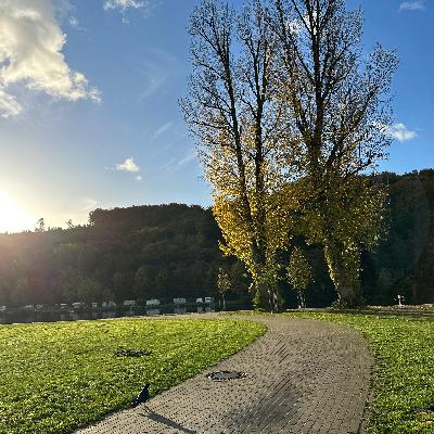 51. ドイツで外国人として専門職に就くために必要な職業認定について