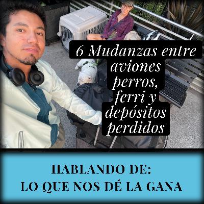 Mudanzas en México: lo que nadie te dice de rentar, depósitos y mascotas Mudanzas en México: lo que nadie te dice de rentar, depósitos y mascotas