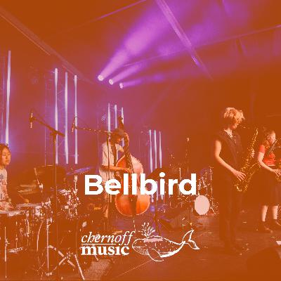 Bellbird: Claire Devlin, Allison Burik, Eli & Mili return